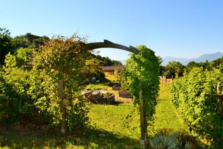 La Voureyline Bed and Breakfast Saint-Antoine  Exteriör bild